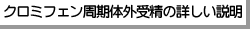 �N���~�t�F�������̊O�󐸂̏ڂ�������